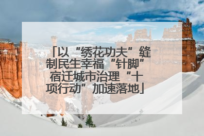 以“绣花功夫”缝制民生幸福“针脚” 宿迁城市治理“十项行动”加速落地